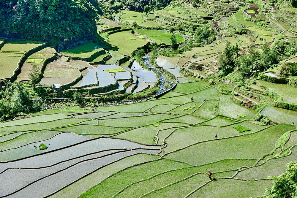 Banaue Rice Terraces, Ifugao, Philippines