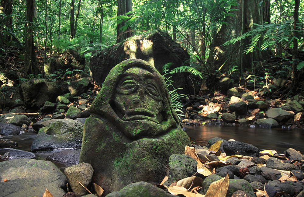An Ancient Stone Carving in the Rainforest of Moorea, Tahiti (French Polynesia)