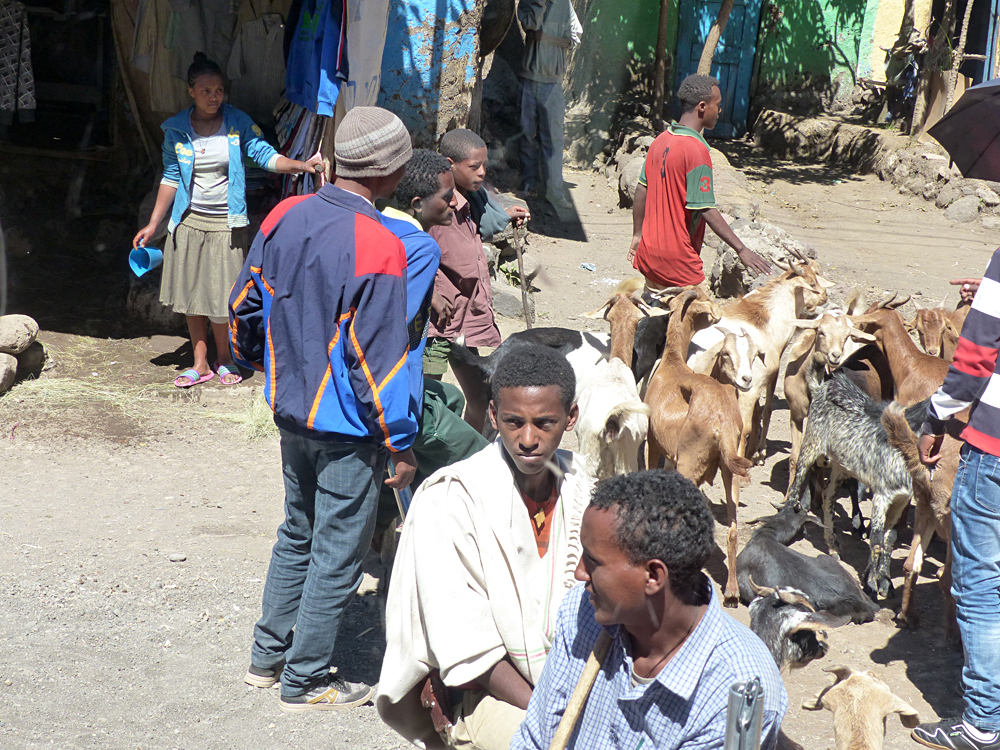 Raewyn Reid - Street Life in Lalibela, Ethiopia