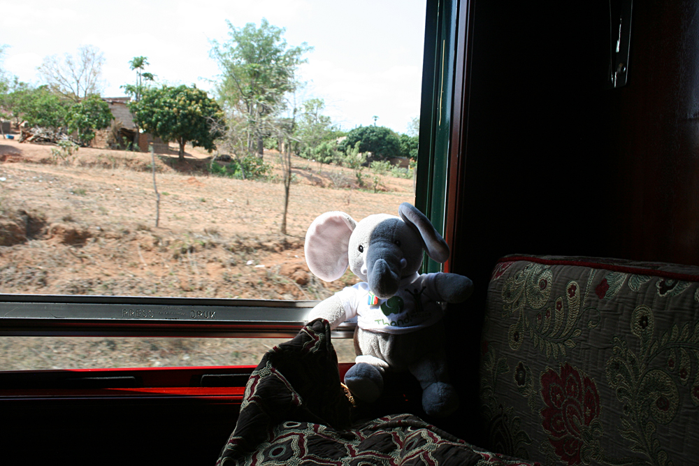 Thandi in her Gold Cabin on the Shongololo Express, Africa