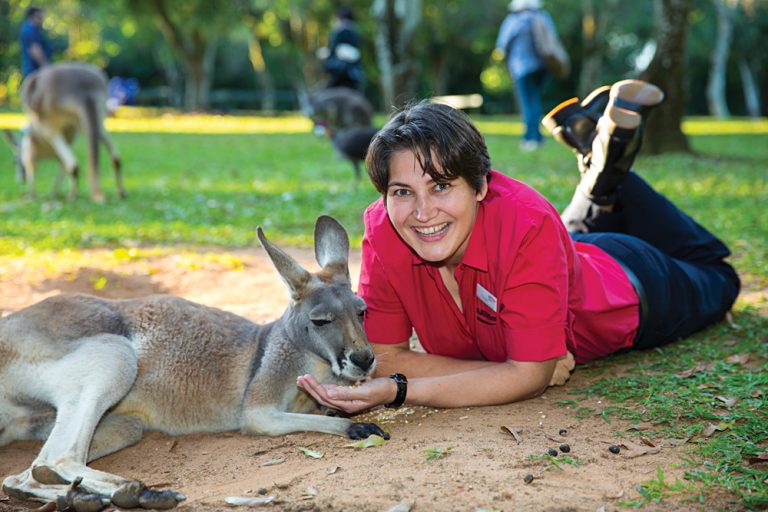 Interacting With a Kangaroo at Australia Zoo, Queensland, Australia
