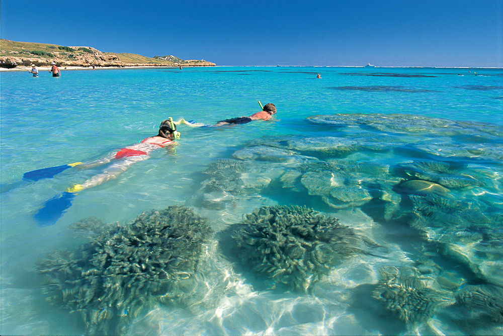 Snorkelling on Ningaloo Marine Park, near Coral Bay - Credit - Tourism Western Australia
