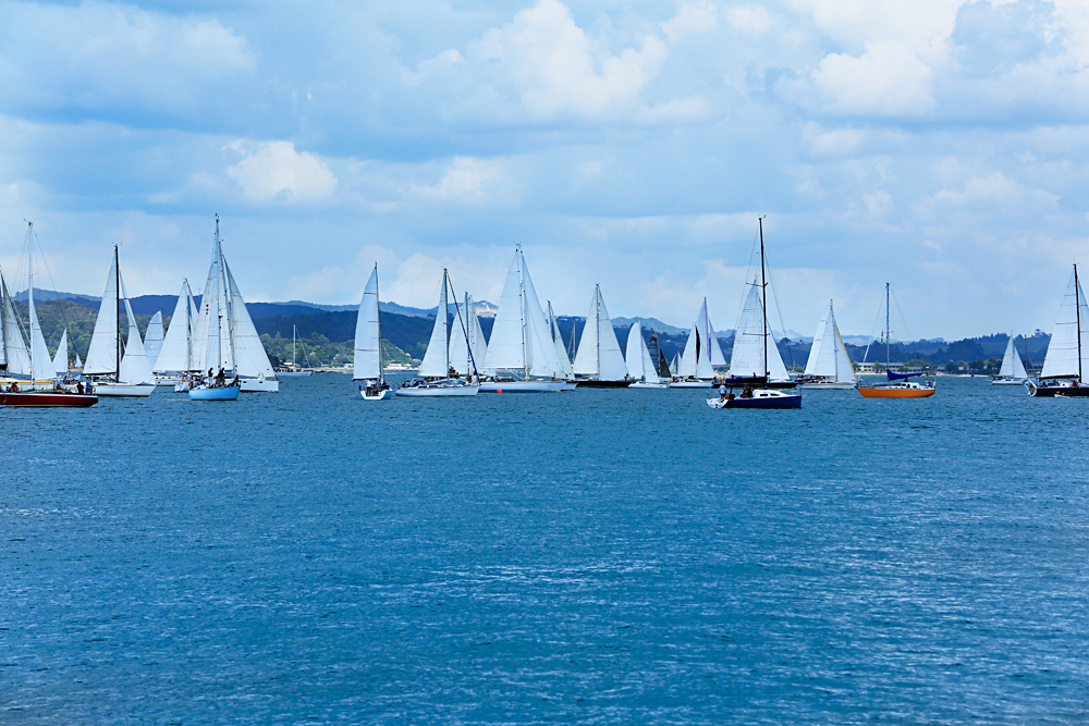 View of Boats at the Harbour in Russell, Bay of Islands, New Zealand