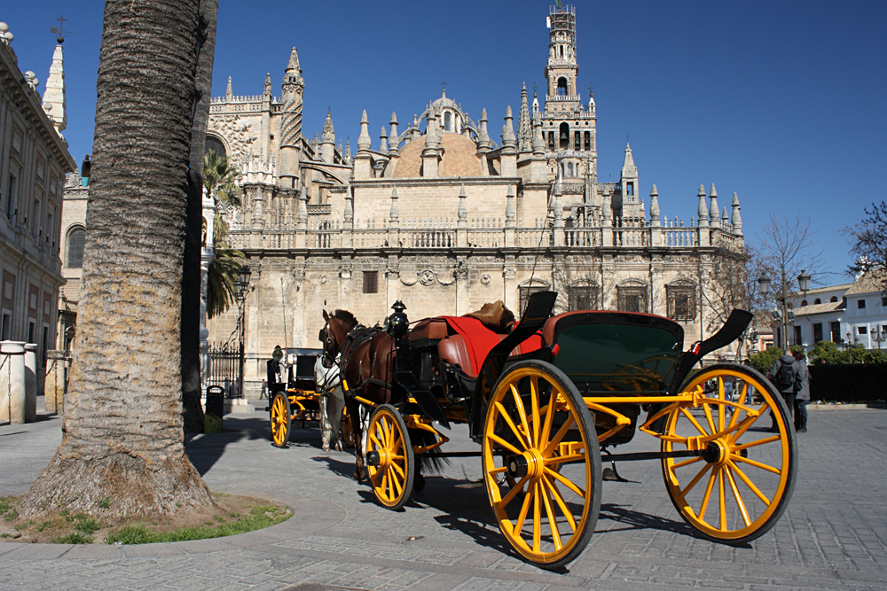 Horse Driven Coach in Front of Cathedral in Seville, Andalusia, Spain