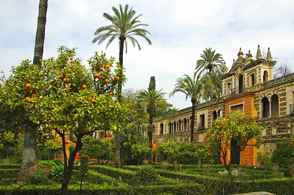 View of the Garden in the Alcazar of Seville, Andalusia, Spain