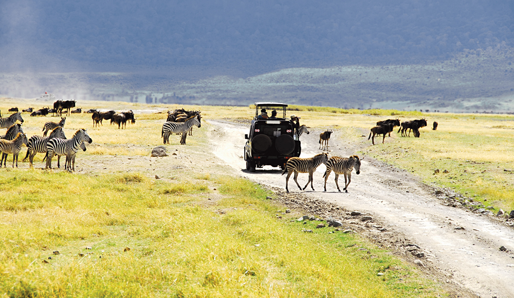 Zebras, Wildebeest and Jeep in Ngorongoro Crater, Tanzania