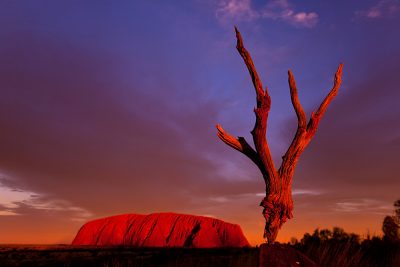 Uluru at Sunset, Ayers Rock, Northern Territory, Australia