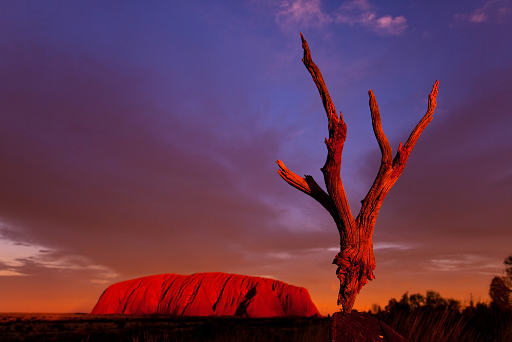 Uluru at Sunset brings to life one of the Best Australian Destinations.