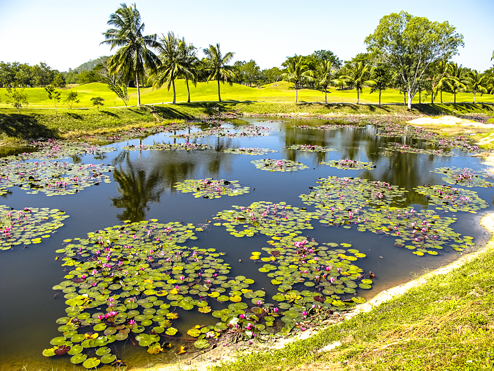 Beautiful lake in the middle of a scenic golf course near Pattaya, Thailand