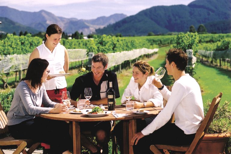 Wine Tasting Group in Marlborough, South Island, New Zealand