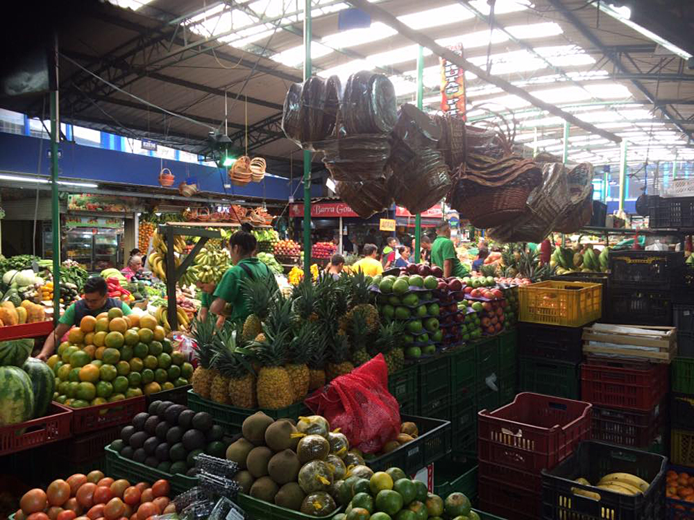 Emma Cottis - Paloquemao Market, Bogota, Colombia