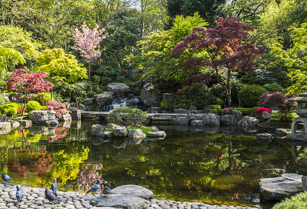 Kyoto Garden in Holland Park, London, England, UK (United Kingdom)