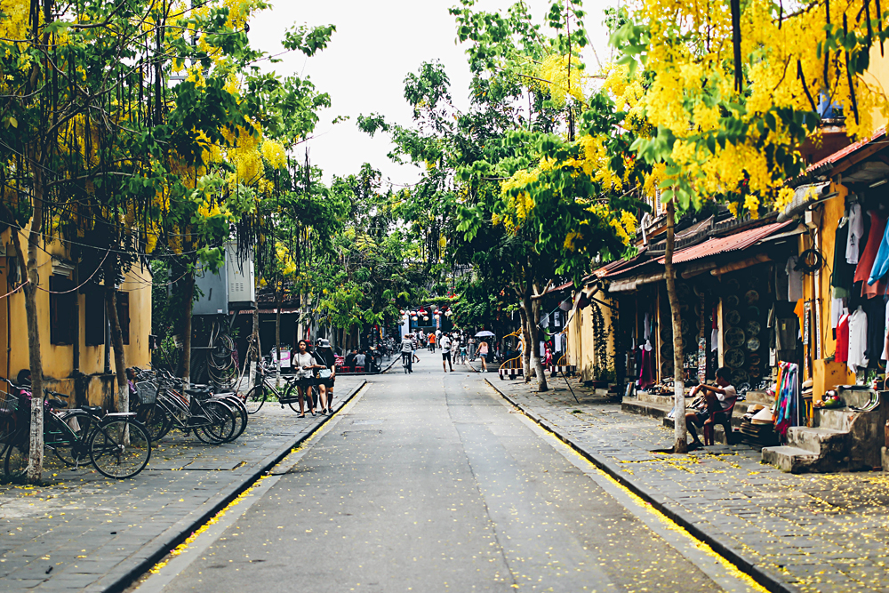 Michaela Trimble - Street in Hoi An, Vietnam