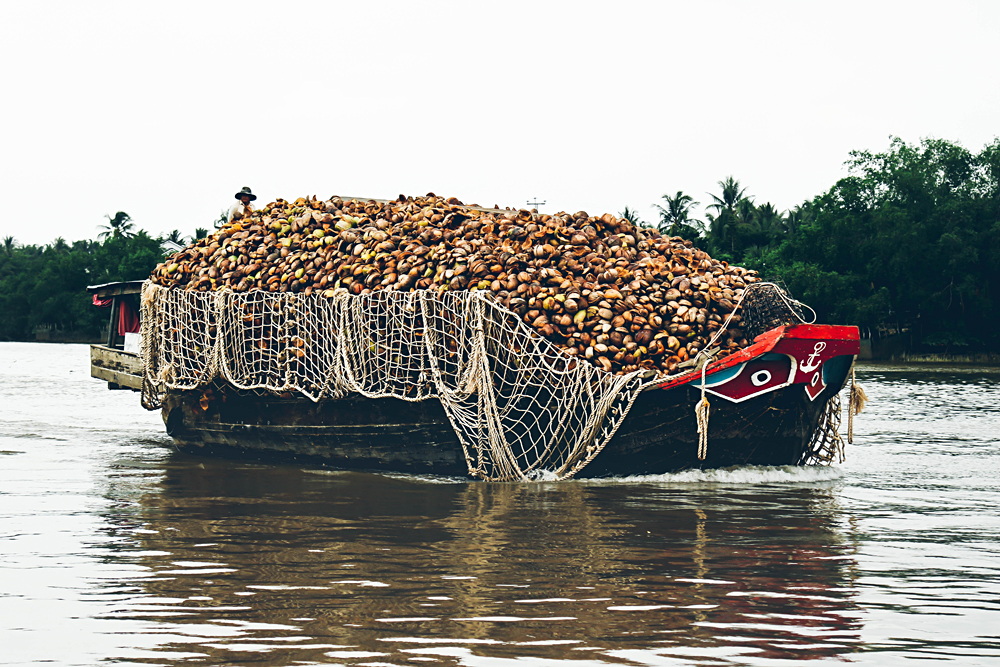 Michaela Trimble - Transporting Coconuts along the Mekong, Vietnam