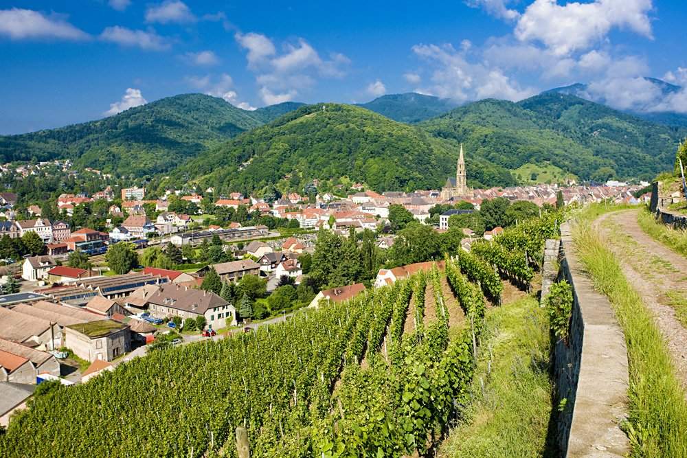 Grand Cru vineyard in Thann, Alsace, France