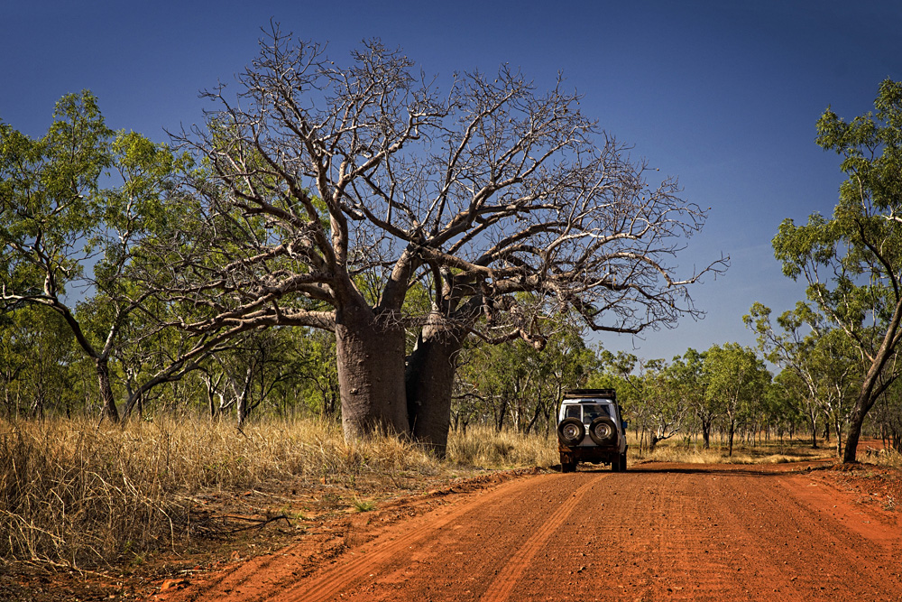 Outback Track in the Kimberley, Western Australia, Australia