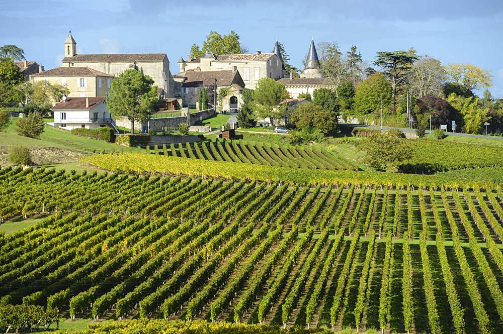 Vineyards of Saint Emilion in Bordeaux, France