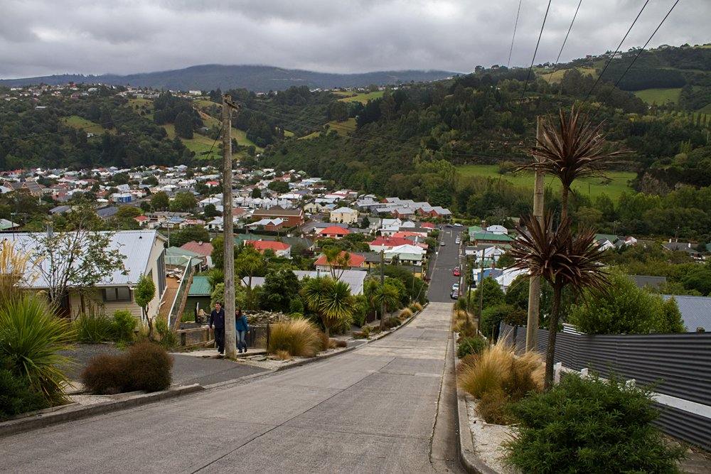 Baldwin Street, the steepest street in the world, in Dunedin, New Zealand