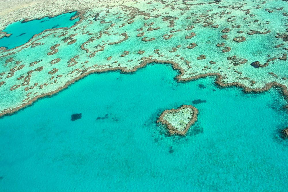 Heart Reef at Great Barrier Reef, Queensland, Australia
