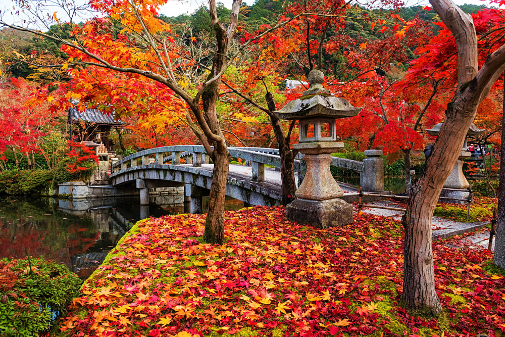 Eikando shrine and bridge with peak autumn foliage, Kyoto, Japan