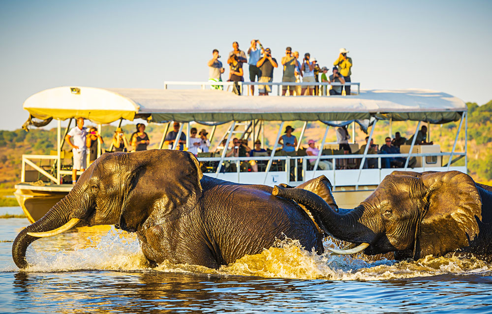 https://blog.goway.com/globetrotting/wp-content/uploads/2017/11/African-Elephants-swimming-across-the-Chobe-River-with-tourists-on-safari-watching-on-Botswana_470543444.jpg