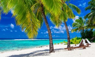 Beach beds under coconut palm trees with an ocean view, Rarotonga, Cook Islands