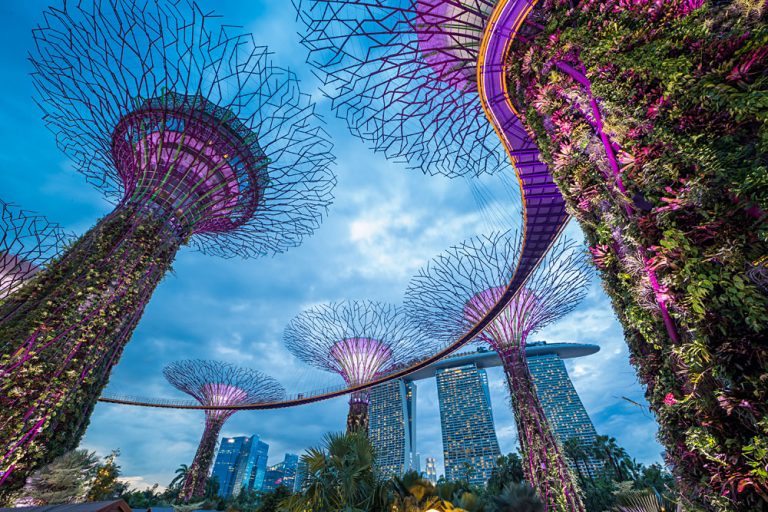 Supertrees at Garden by the Bay, Singapore