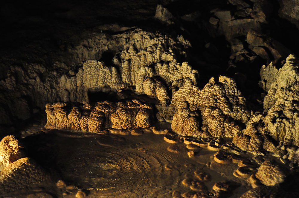 Stalagmites in the Waitomo Caves, North Island, New Zealand