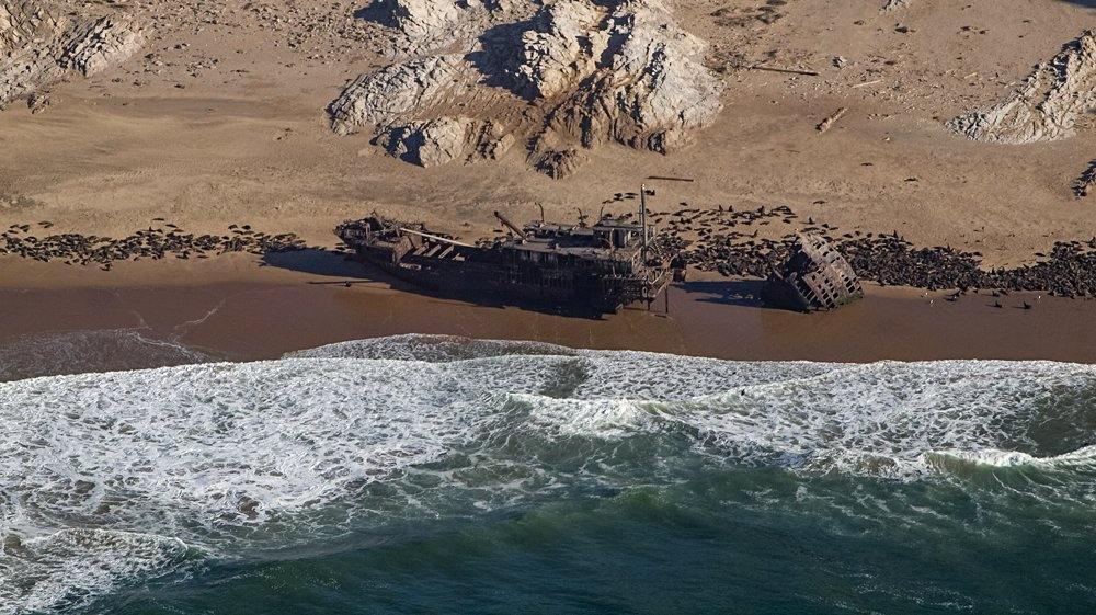 Aerial view of seals and a shipreck on Skeleton Coast, Namibia