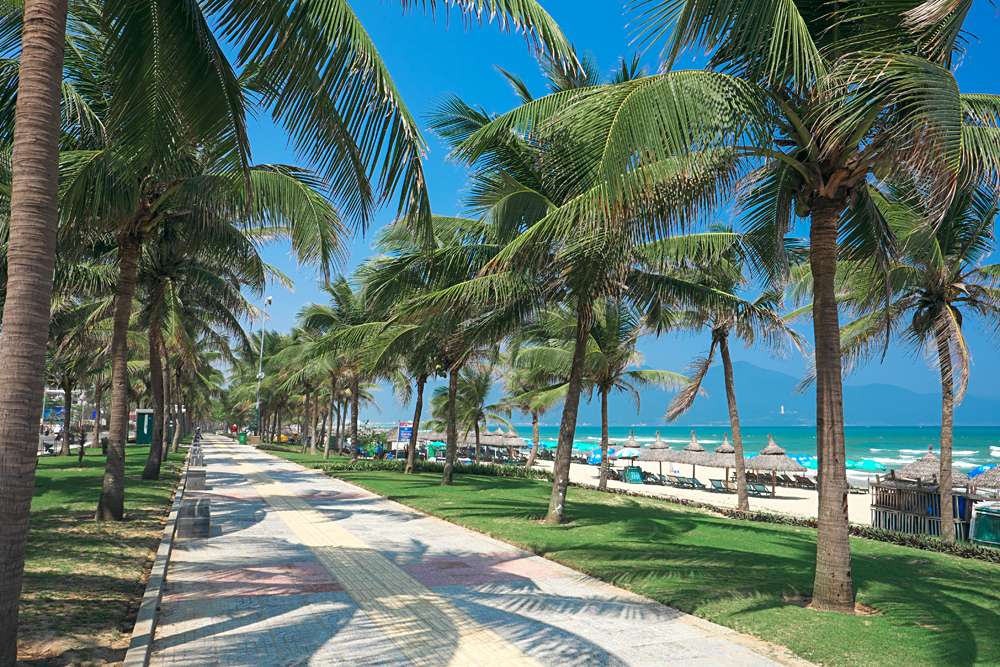 Coconut palm trees line the walkway at China Beach, Danang, Vietnam