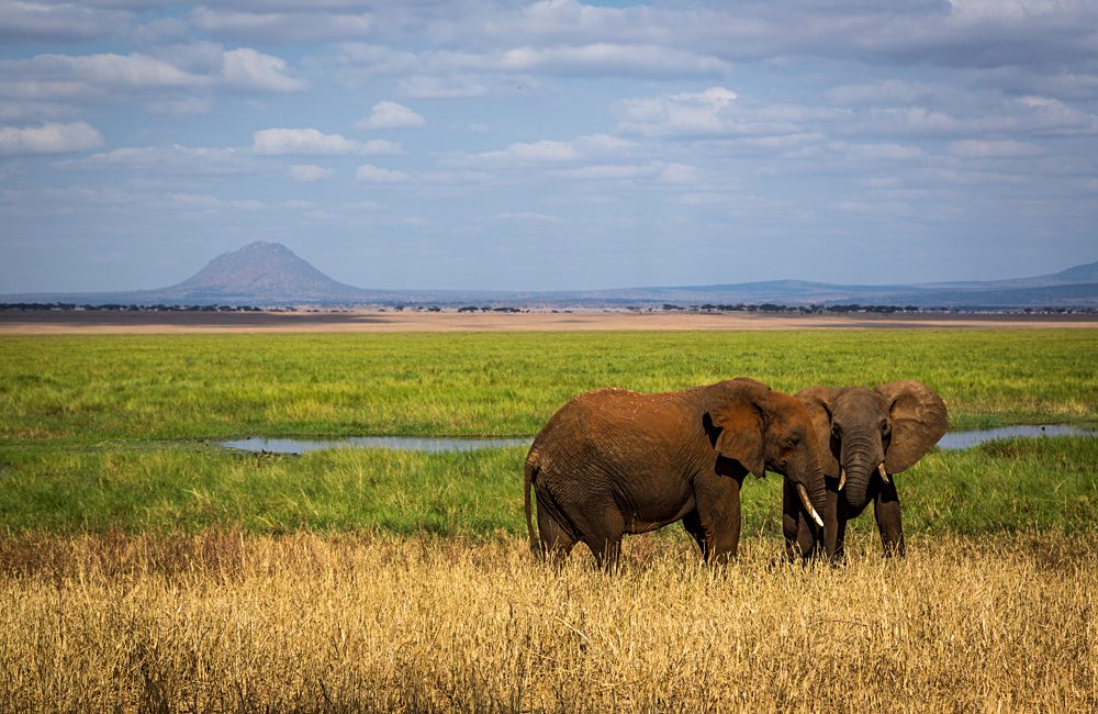 Travelling Hemingway’s Africa on an East African Safari