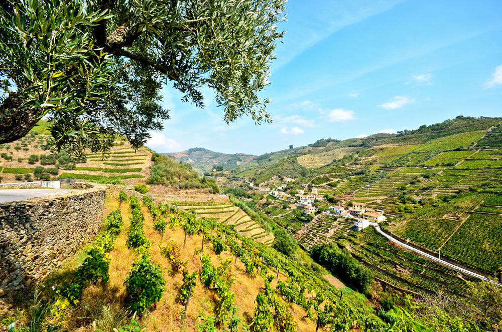 Douro Valley Vineyards and small village near Peso da Regua, Portugal