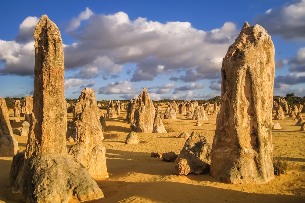 The Pinnacles in late afternoon light, Nambung National Park, Western Australia