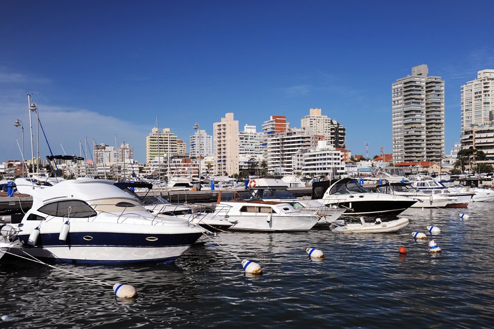 Boats and yachts in the bay on a sunny day, Punta del Este, Uruguay