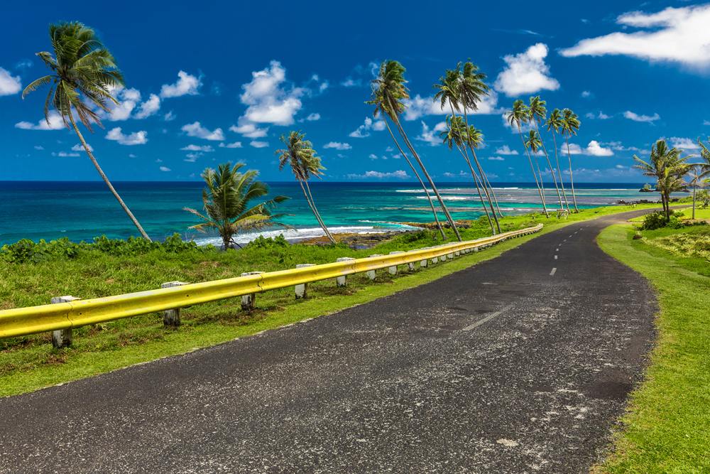 Coastal road lined with palm trees, overlooking tropical ocean, Samoa Islands