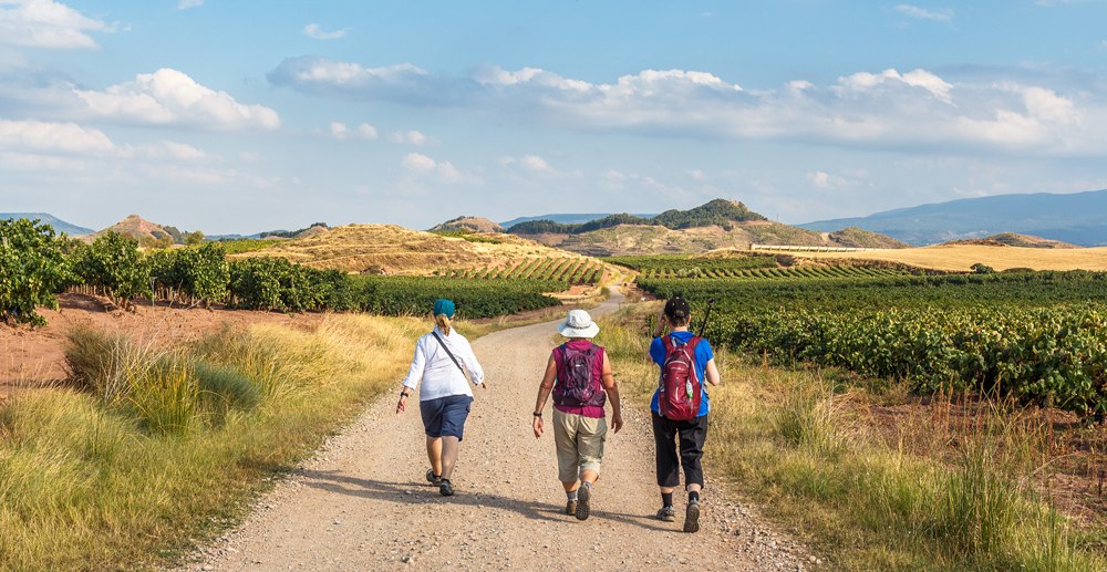 Group of pilgrims walking the Camino de Santiago vinyards in La Rioja region, Spain