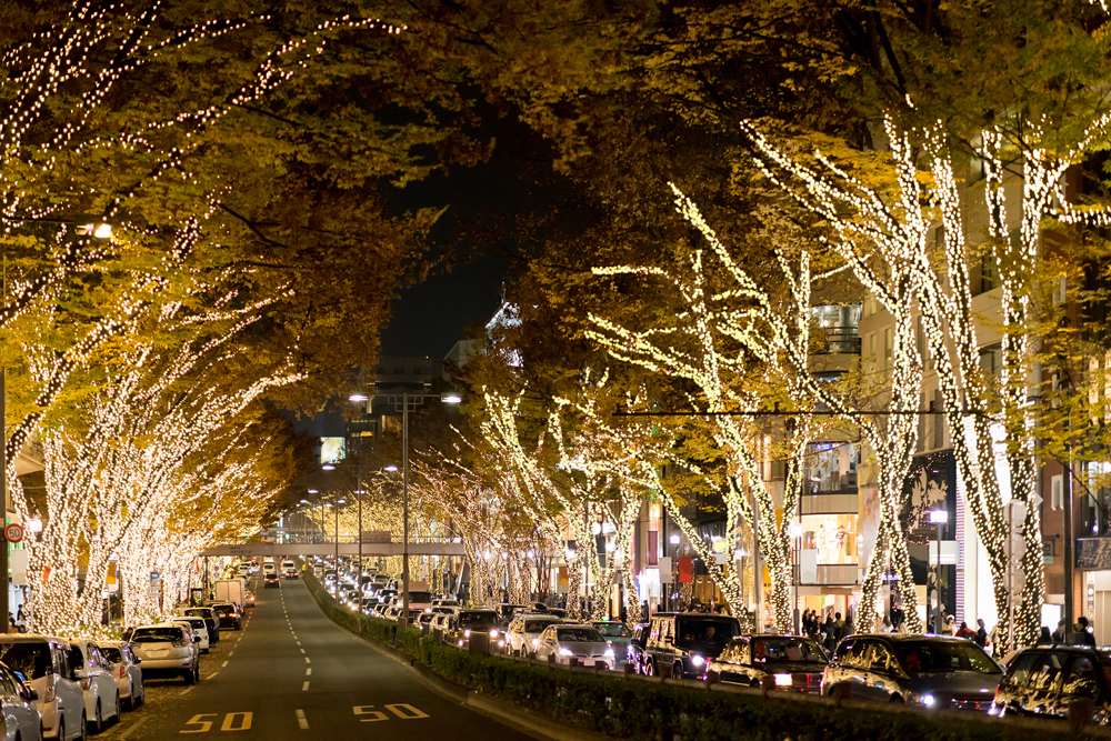 Omotesando Street lit up at night in Harajuku, Tokyo, Japan