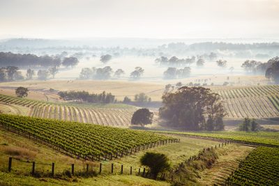 Sunrise over Hunter Valley vineyards, New South Wales, Australia