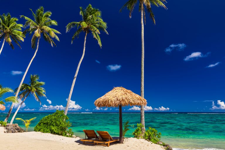 Two beach chairs under umbrella with palm trees, Samoa Islands