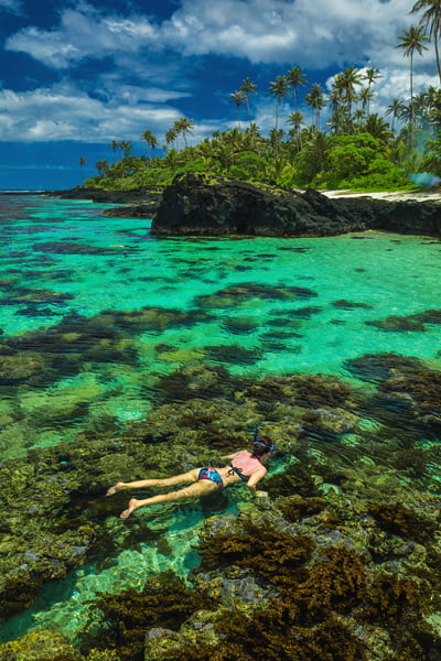 Young woman snorkeling over coral reef on a tropical island with palm trees in Upolu, Samoa