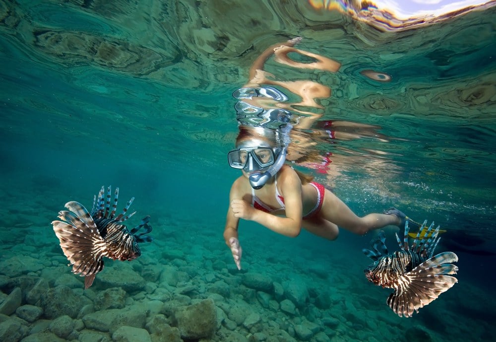 Young girl snorkeling with lionfish, Fiji 
