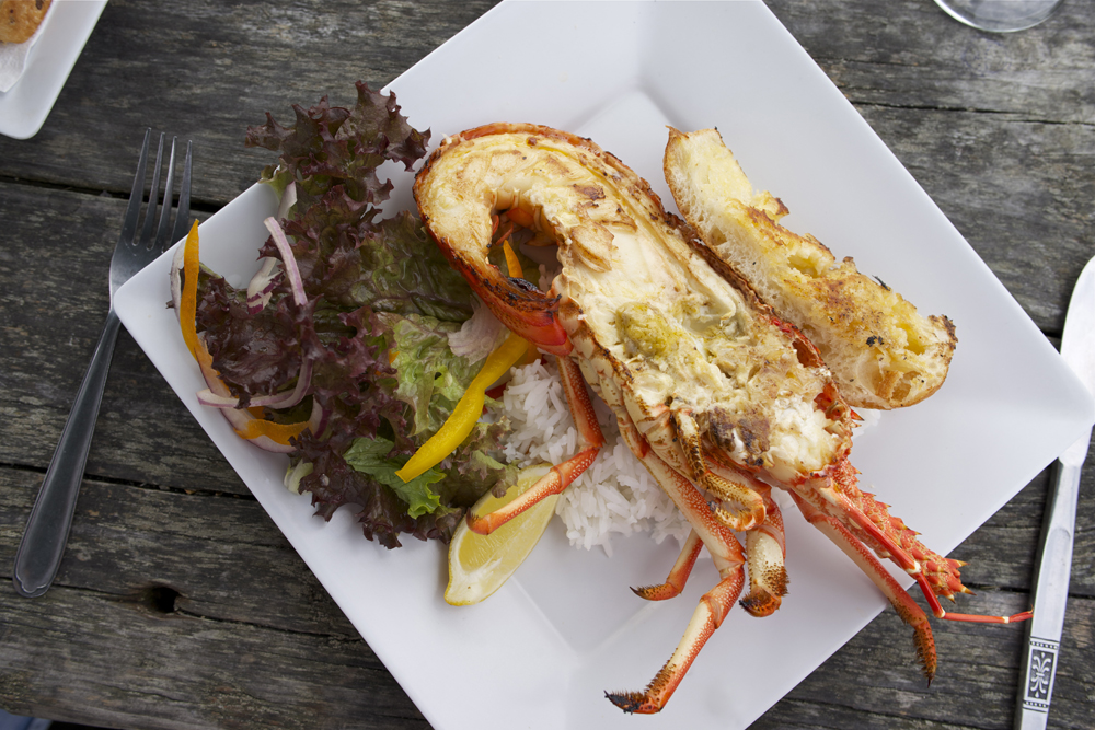 Crayfish lunch from roadside caravan, Kaikoura, New Zealand 
