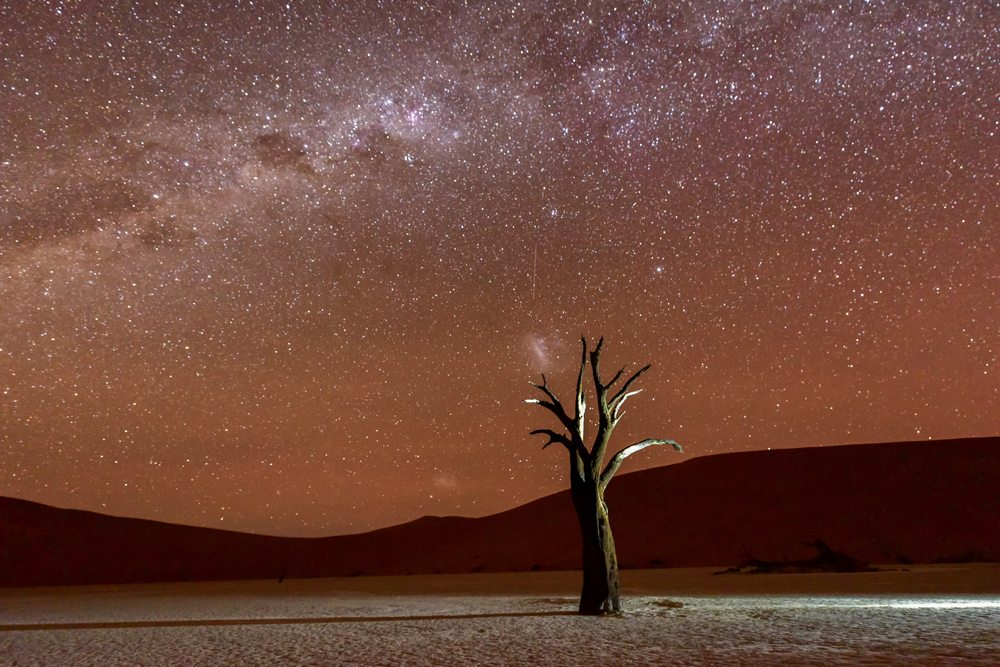 Dead Vlei at dusk in the southern part of the Namib Desert, Namibia 