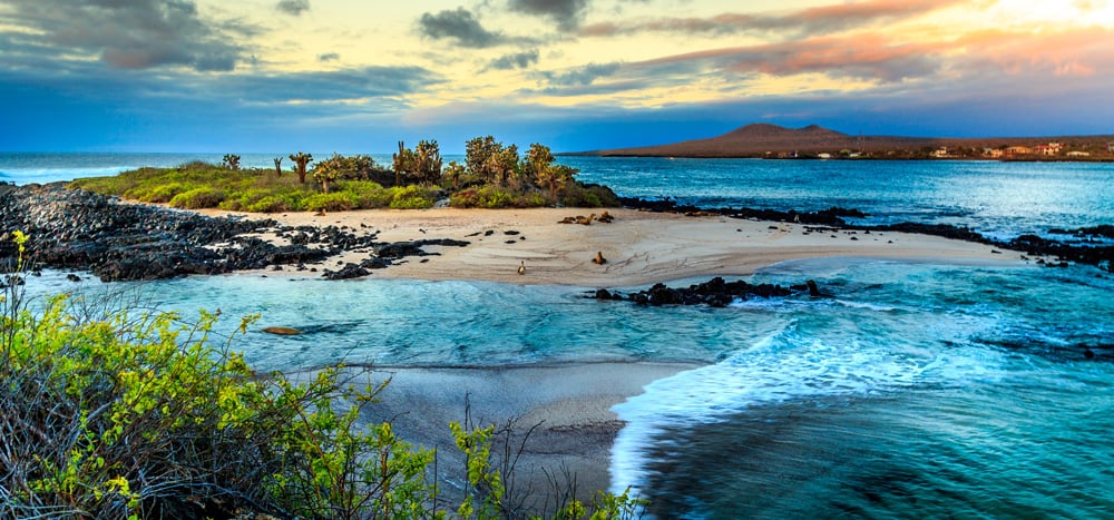 scenic tours south america galapagos