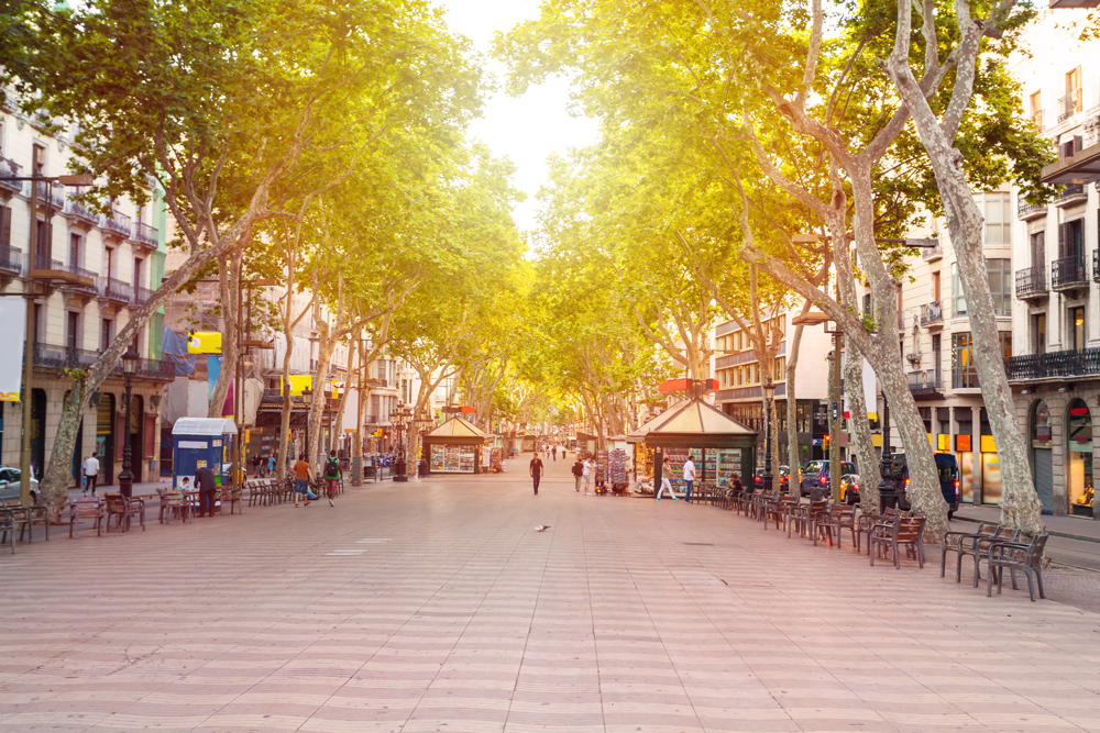 La Rambla street in the early morning, Barcelona, Spain 