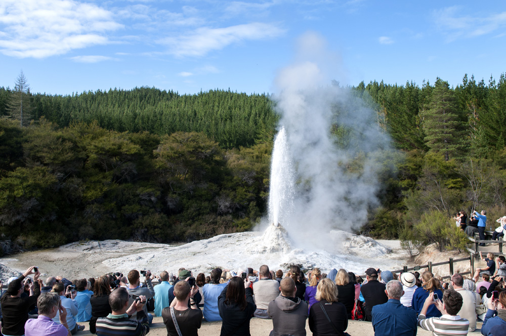 Tourists watching erupting Lady Knox Geyser in Wai-o-Tapu, Rotorua, New Zealand 