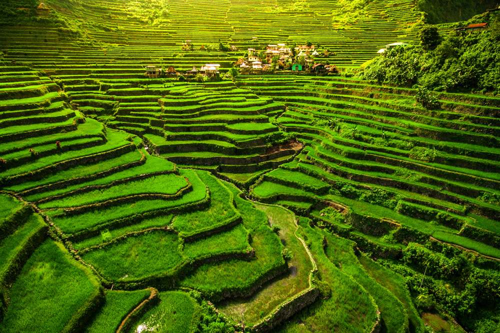 Banaue Rice Terraces in northern Luzon, Philippines 