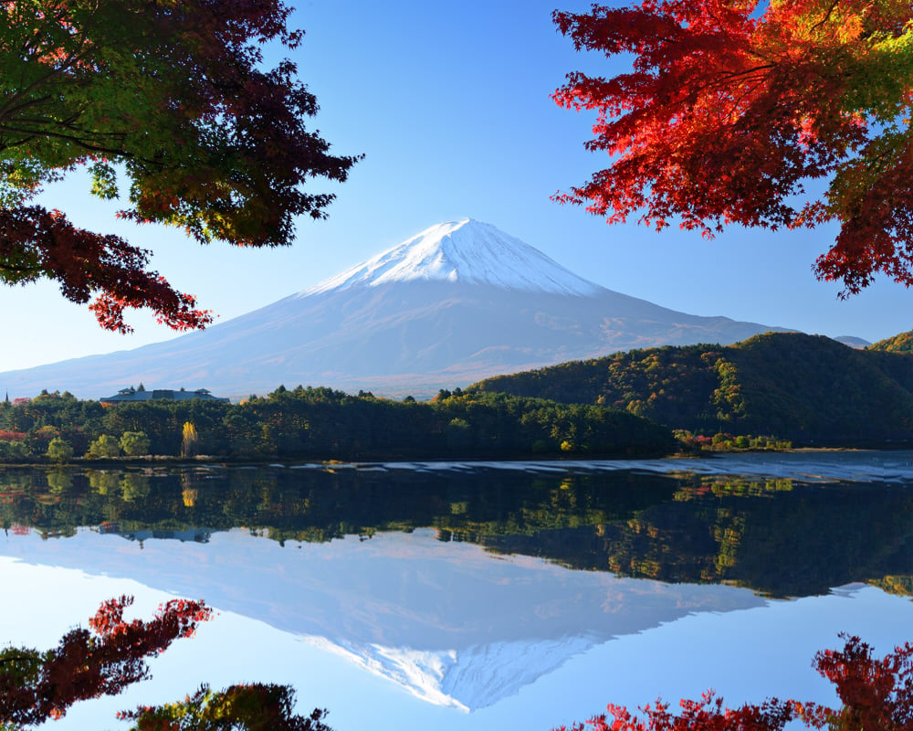 Mt. Fuji and autumn foliage at Lake Kawaguchiko, Japan 