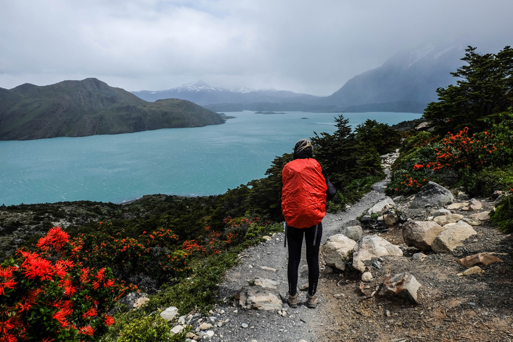 Viewing Nordenskjold Lake in Torres del Paine National Park, Patagonia, Chile 