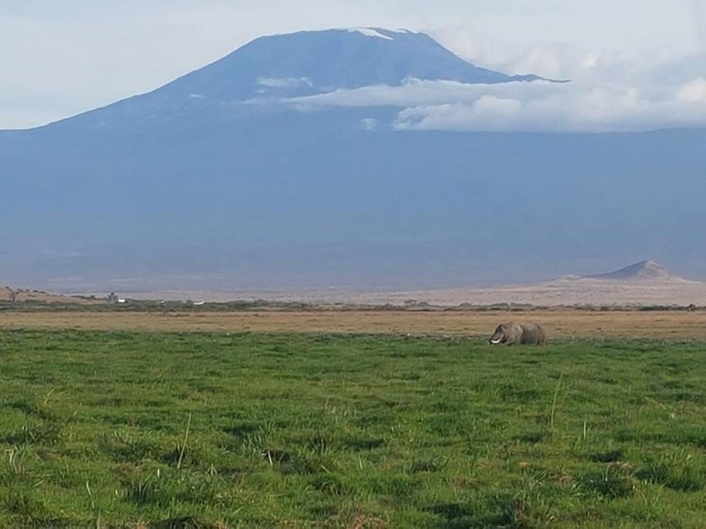 Christian Baines - Iconic Kilimanjaro at Amboseli, Kenya